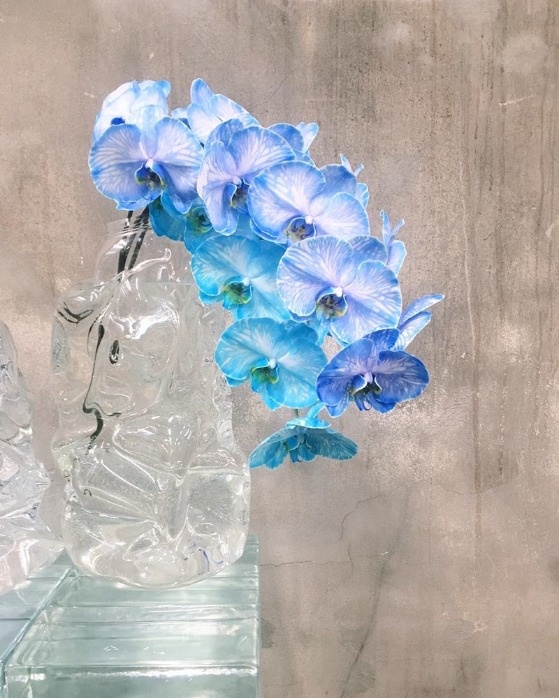 Ένα διαμέρισμα που θα σε κάνει να ερωτευθείς το μπλε - εικόνα 12