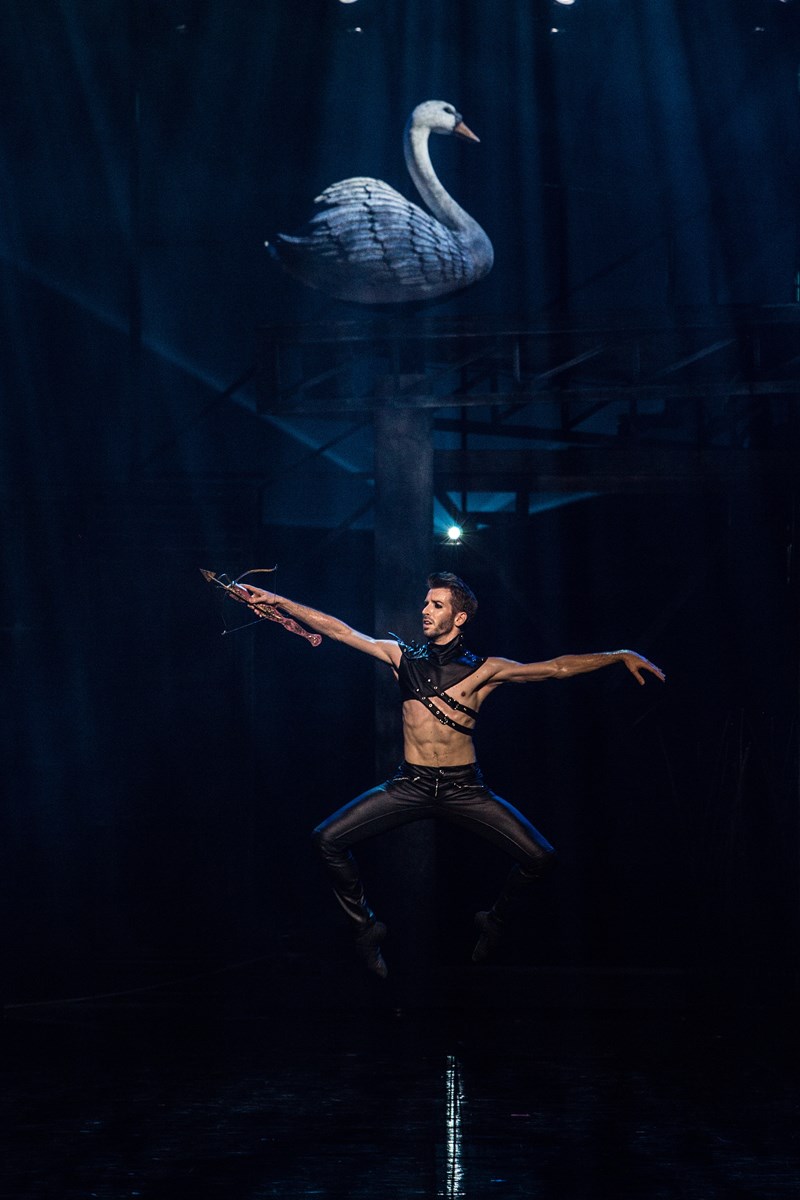 Η Λίμνη των Κύκνων: Μια μαγική παράσταση που δεν πρέπει να χάσετε! - εικόνα 7
