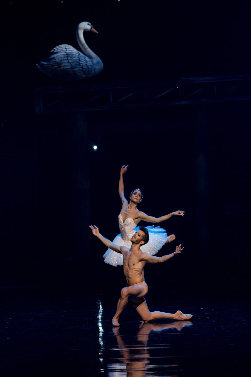 Η Λίμνη των Κύκνων: Μια μαγική παράσταση που δεν πρέπει να χάσετε! - εικόνα 6