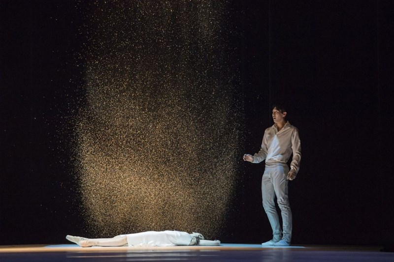 Χριστούγεννα με την Σταχτοπούτα - εικόνα 2