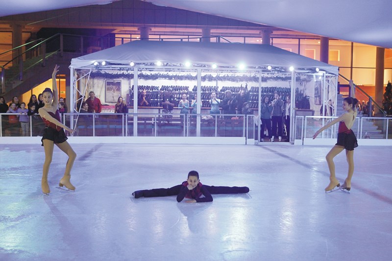 Χριστούγεννα... στον πάγο - εικόνα 1