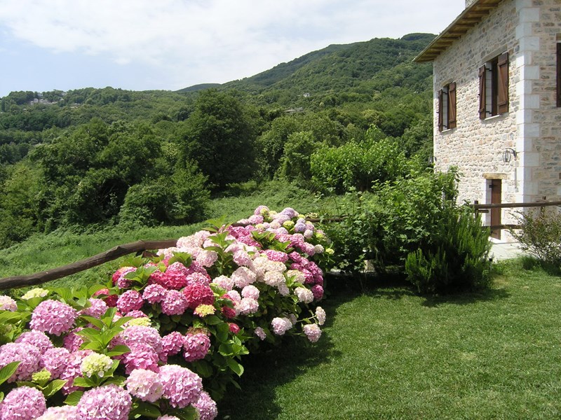 ΑΜΑΝΙΤΑ: Ένα παλιό αρχοντικό μεταμορφώθηκε στον πιο γραφικό ξενώνα του Πηλίου - εικόνα 1