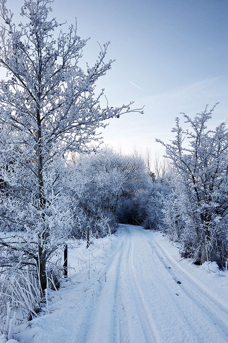 ELLE EASY LIVING -  Η ΜΑΓΕΙΑ ΤΩΝ ΑΥΘΕΝΤΙΚΩΝ ΑΠΟΛΑΥΣΕΩΝ - εικόνα 2