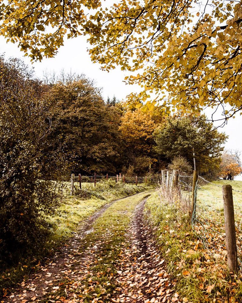 Marte Forsberg: Μια Νορβηγίδα φωτογράφος αποτυπώνει στις εικόνες της την μαγεία της αγγλικής εξοχής - εικόνα 3