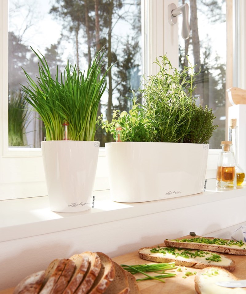 Φτιάξε ένα μικρό βοτανόκηπο στην κουζίνα σου - εικόνα 2