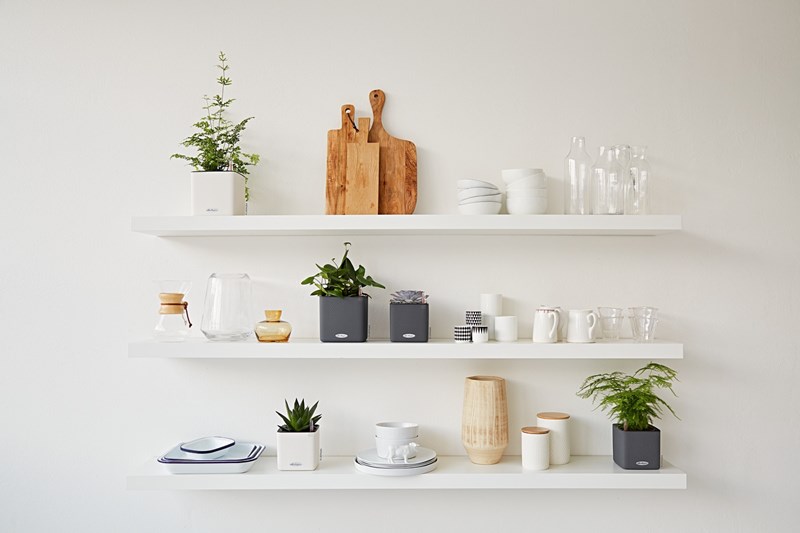 Φτιάξε ένα μικρό βοτανόκηπο στην κουζίνα σου - εικόνα 6