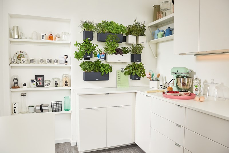 Φτιάξε ένα μικρό βοτανόκηπο στην κουζίνα σου - εικόνα 1