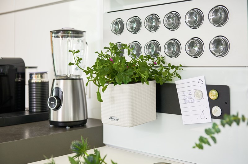 Φτιάξε ένα μικρό βοτανόκηπο στην κουζίνα σου - εικόνα 5