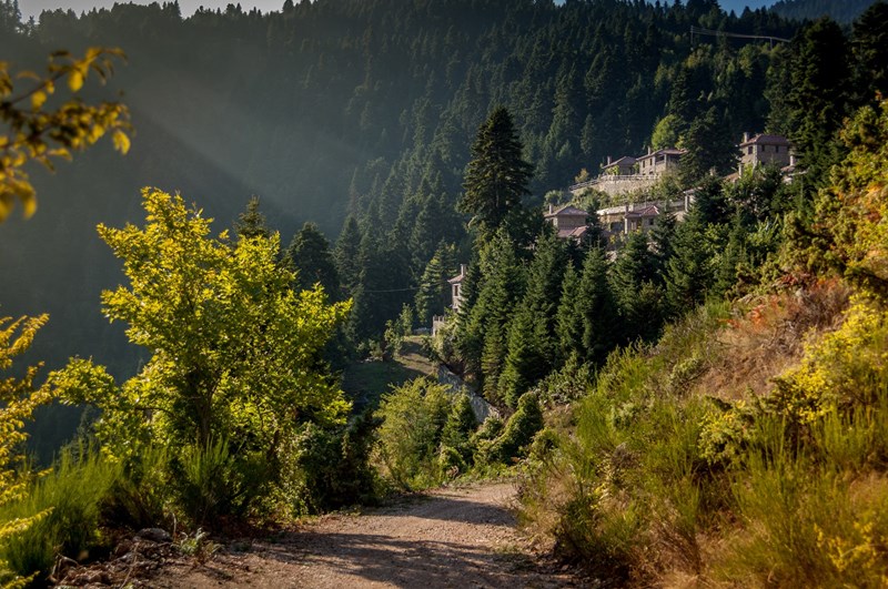 Montanema Handmade Village: Εδώ το μυστικό της ευτυχίας αντηχεί στην καρδιά ενός πευκοδάσους - εικόνα 3