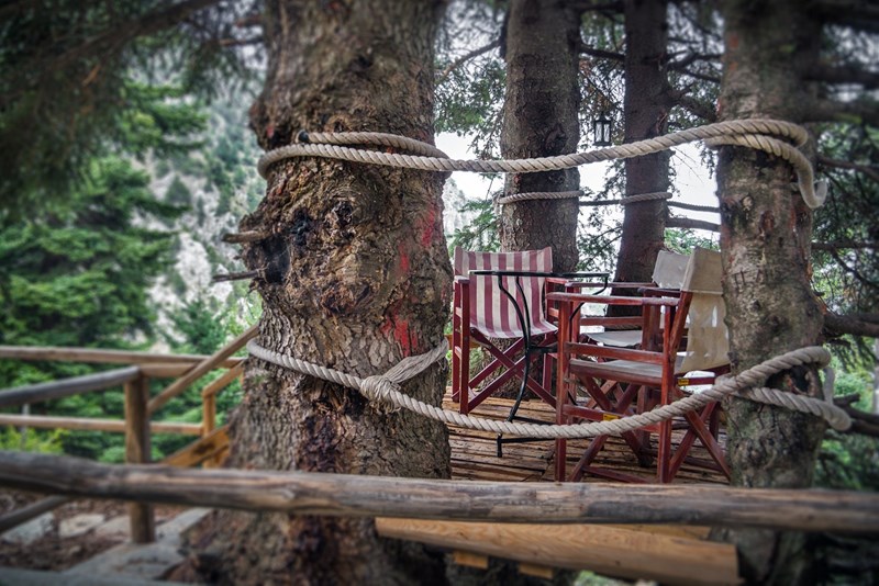 Montanema Handmade Village: Εδώ το μυστικό της ευτυχίας αντηχεί στην καρδιά ενός πευκοδάσους - εικόνα 4