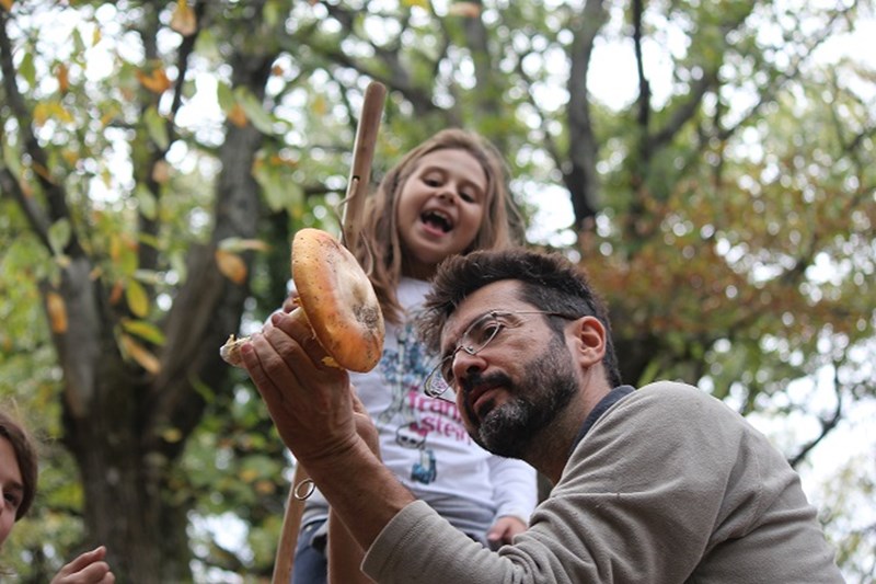 ΑΜΑΝΙΤΑ: Ένα παλιό αρχοντικό μεταμορφώθηκε στον πιο γραφικό ξενώνα του Πηλίου - εικόνα 2