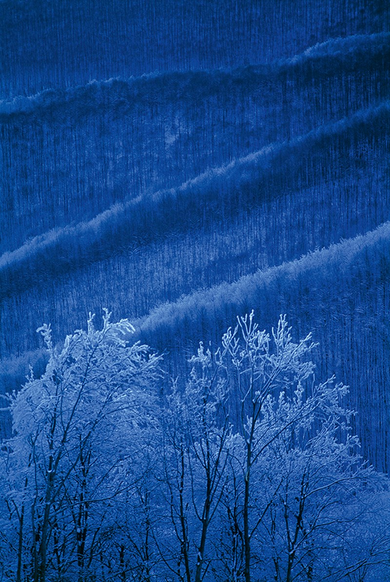 ELLE EASY LIVING -  Η ΜΑΓΕΙΑ ΤΩΝ ΑΥΘΕΝΤΙΚΩΝ ΑΠΟΛΑΥΣΕΩΝ - εικόνα 3