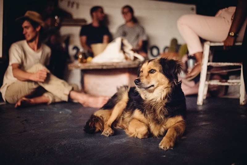 Η ιστορία πίσω από το πιο όμορφο βιβλιοπωλείο του κόσμου - εικόνα 3