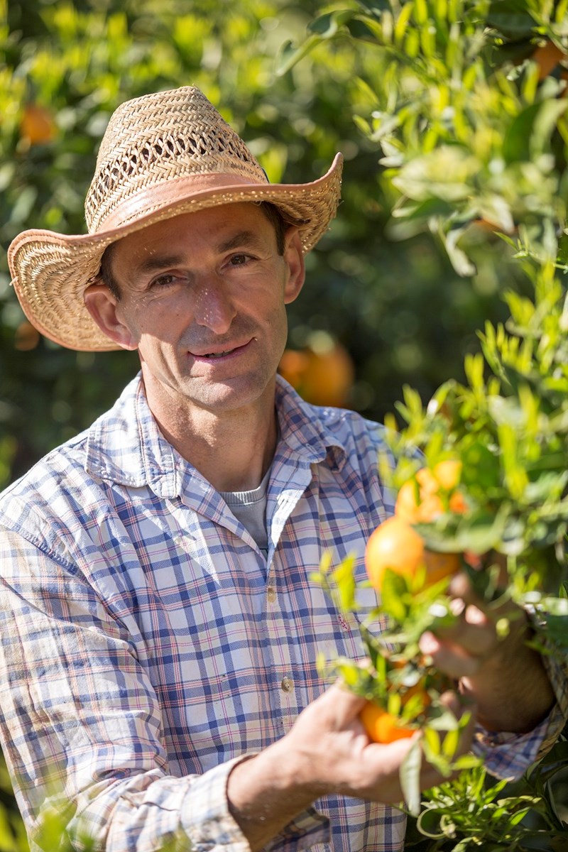 Ξενώνας Αγρόκτημα: Ο παράδεισος μιας οικογένειας στους πρόποδες του Πάρνωνα - εικόνα 2