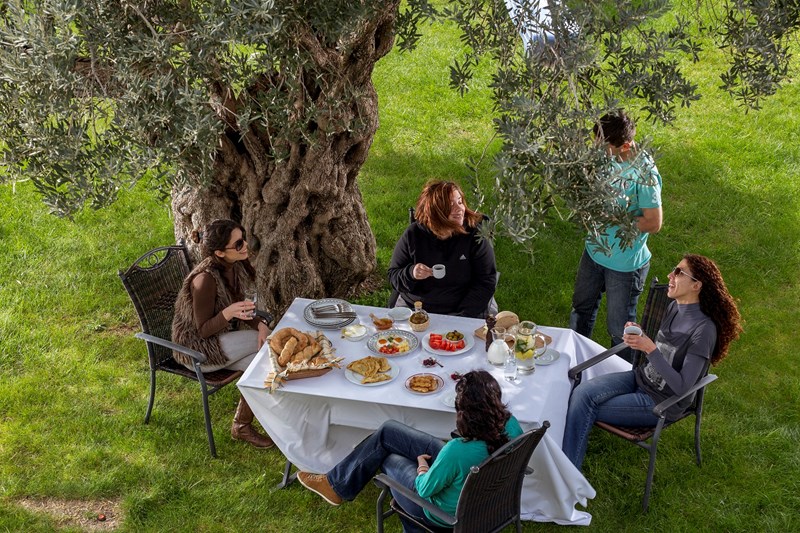 Ξενώνας Αγρόκτημα: Ο παράδεισος μιας οικογένειας στους πρόποδες του Πάρνωνα - εικόνα 3