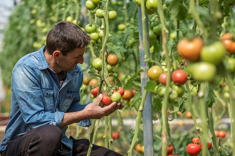 Ξενώνας Αγρόκτημα: Ο παράδεισος μιας οικογένειας στους πρόποδες του Πάρνωνα - εικόνα 4