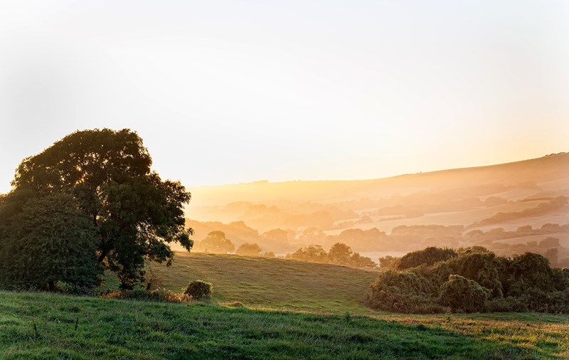 ELLE EASY LIVING -  Η ΜΑΓΕΙΑ ΤΩΝ ΑΥΘΕΝΤΙΚΩΝ ΑΠΟΛΑΥΣΕΩΝ - εικόνα 7