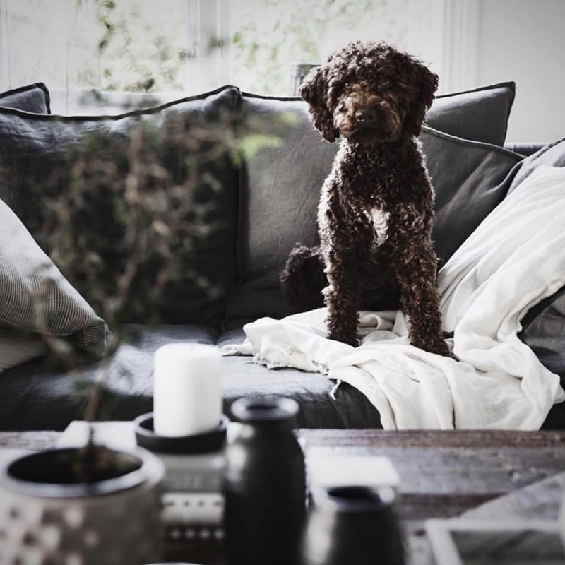 20+1 προτάσεις διακόσμησης για να βάλεις την θηλυκή σου υπογραφή στο προσωπικό σου χώρο - εικόνα 20