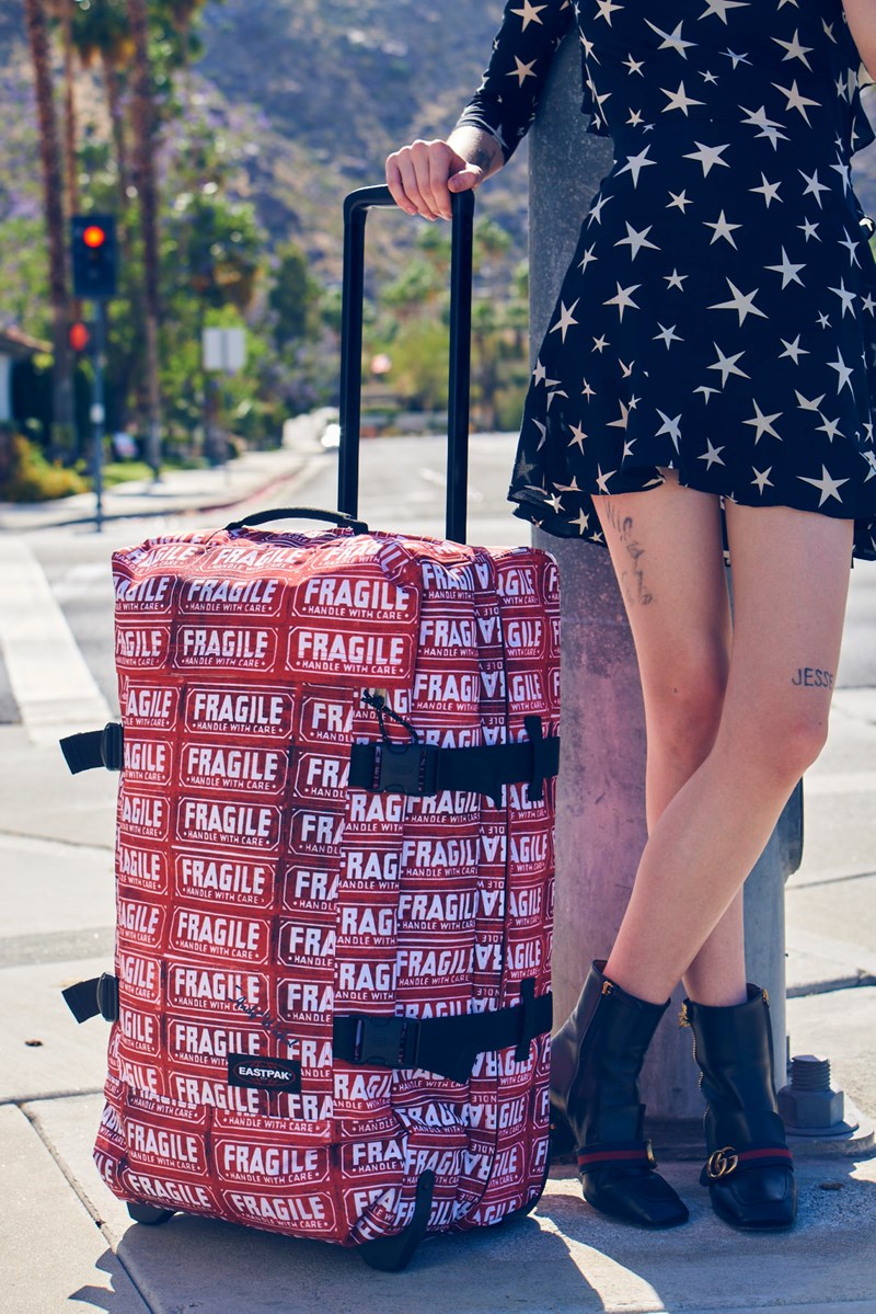 Ξέρουμε ποιο pop art backpack θα πάρετε στα ταξίδια της άνοιξης - εικόνα 10