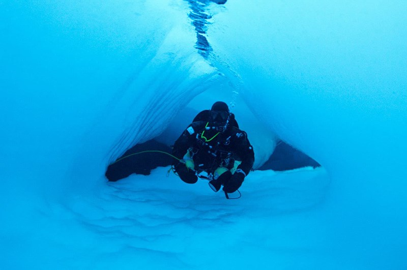 10 πρόσωπα που θα κάνουν τον κόσμο μας καλύτερο - εικόνα 1