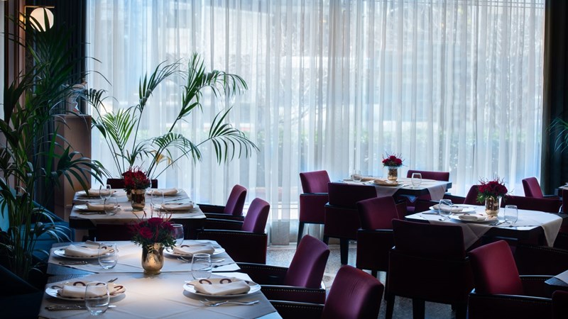 Μια όαση δροσιάς στην καρδιά της Αθήνας - εικόνα 5