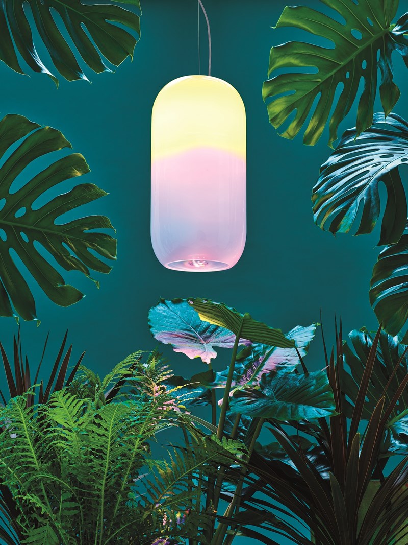 In Blossom: Πώς θα κάνετε το χώρο σας να ανθίσει; - εικόνα 1