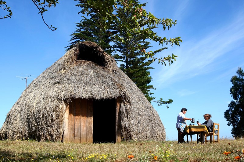 Γιατί όλοι ονειρεύονται ένα ταξίδι στη Χιλή; - εικόνα 4