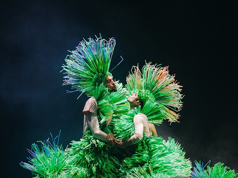 Τα παιδιά μαθαίνουν για την προστασία του περιβάλλοντος - εικόνα 2