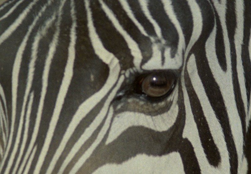 Ο ταλαντούχος designer Μιχάλης Αναστασιάδης μιλά στο ELLE.gr - εικόνα 4