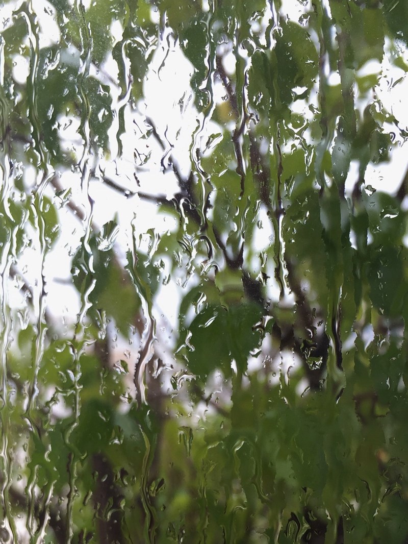 8+1 δυνατά βιβλία για να περάσουμε απολαυστικά τις μέρες της καραντίνας  #ELLEBookClub - εικόνα 8