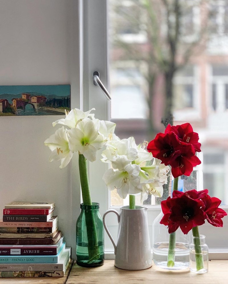 O Έλληνας στο Άμστερνταμ που θα σε κάνει να ερωτευθείς τα λουλούδια - εικόνα 10