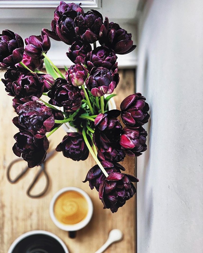 O Έλληνας στο Άμστερνταμ που θα σε κάνει να ερωτευθείς τα λουλούδια - εικόνα 8