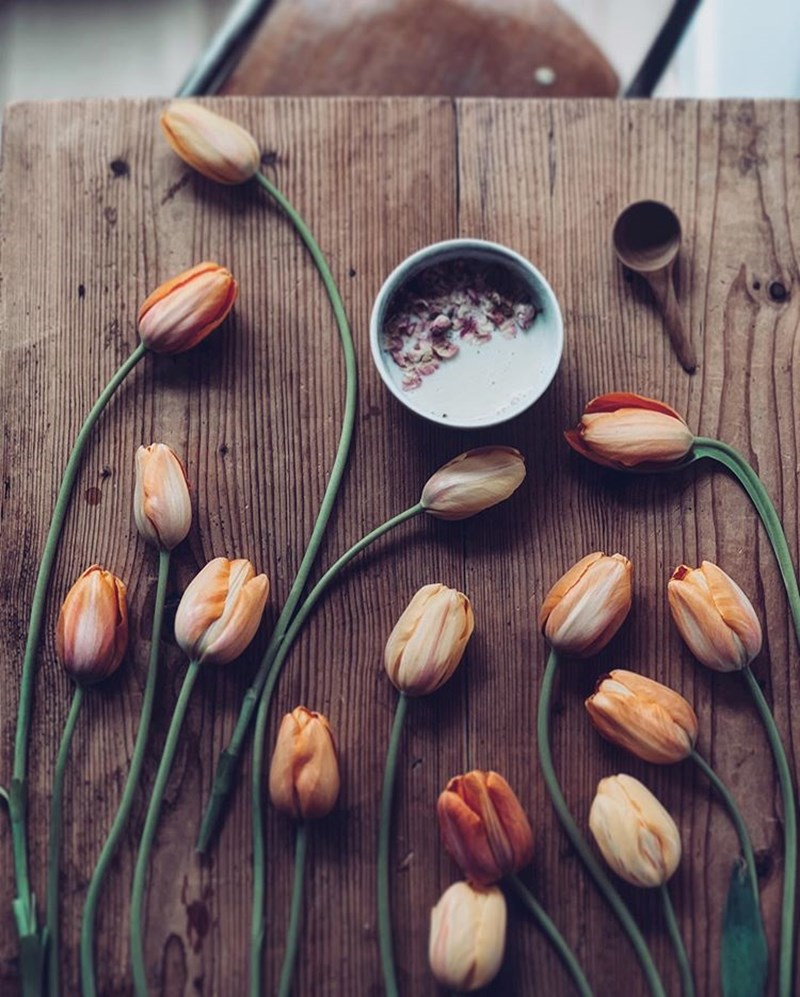 O Έλληνας στο Άμστερνταμ που θα σε κάνει να ερωτευθείς τα λουλούδια - εικόνα 7