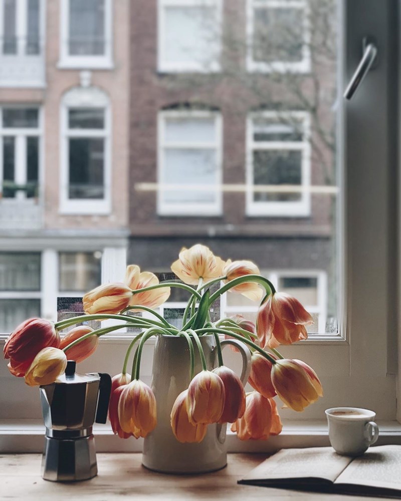 O Έλληνας στο Άμστερνταμ που θα σε κάνει να ερωτευθείς τα λουλούδια - εικόνα 6