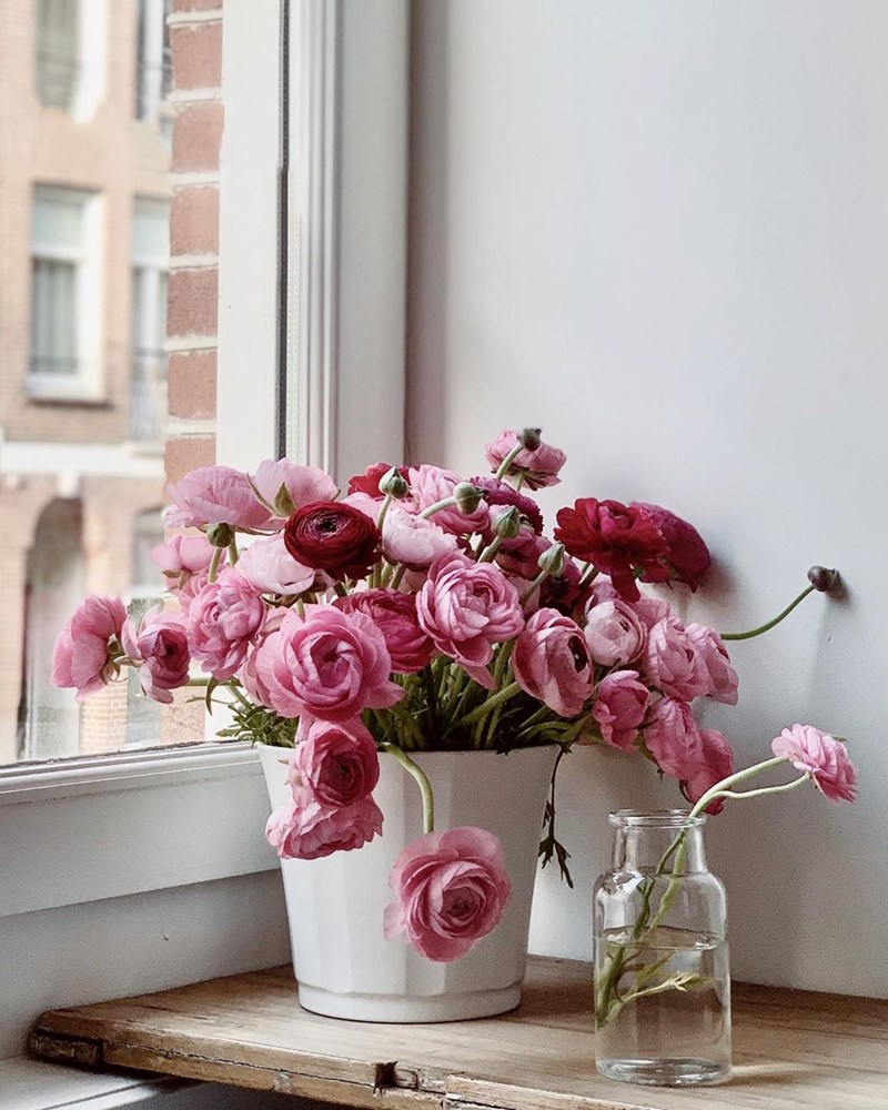 O Έλληνας στο Άμστερνταμ που θα σε κάνει να ερωτευθείς τα λουλούδια - εικόνα 3