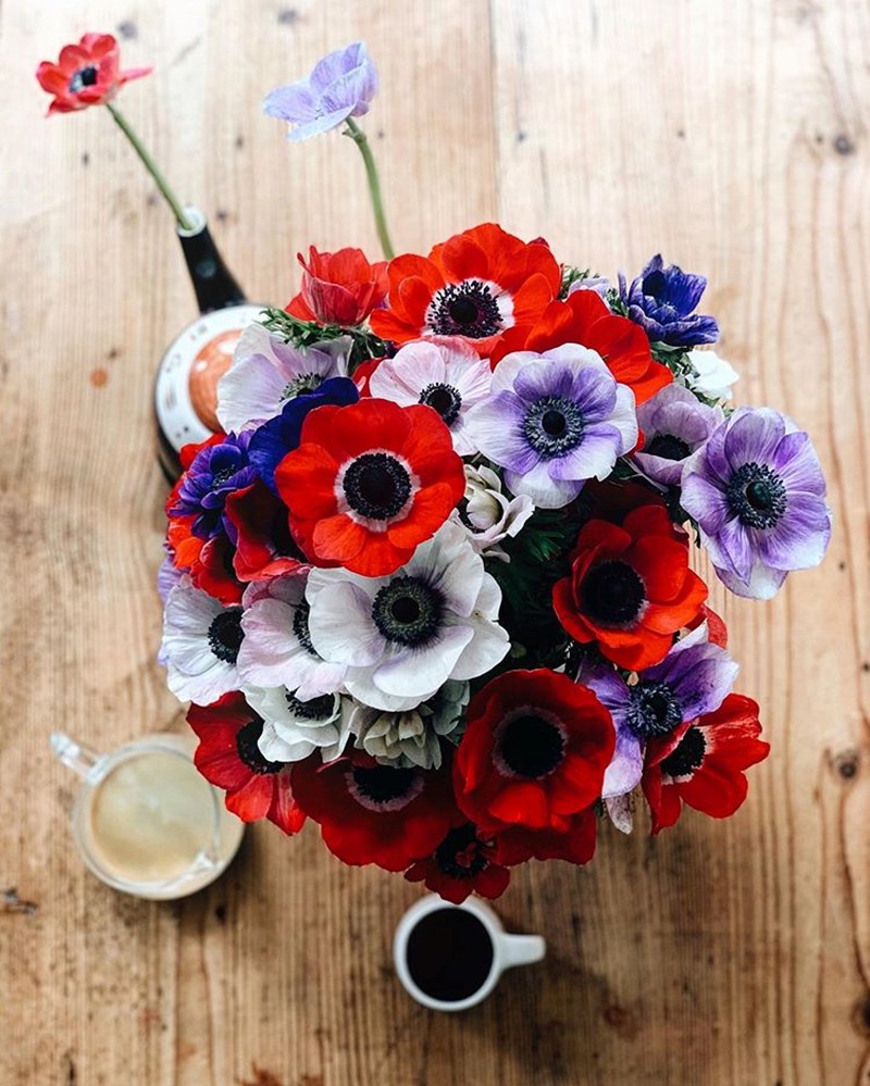 O Έλληνας στο Άμστερνταμ που θα σε κάνει να ερωτευθείς τα λουλούδια - εικόνα 1