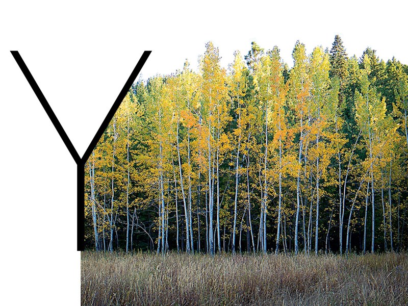 Το ELLE γιορτάζει την Παγκόσμια Ημέρα Γης και αγωνίζεται για έναν καλύτερο πλανήτη #WomenForEarth - εικόνα 21