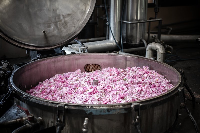 May Rose: Απόδραση στα ροζ λιβάδια της Νότιας Γαλλίας με τον οίκο Chanel - εικόνα 7