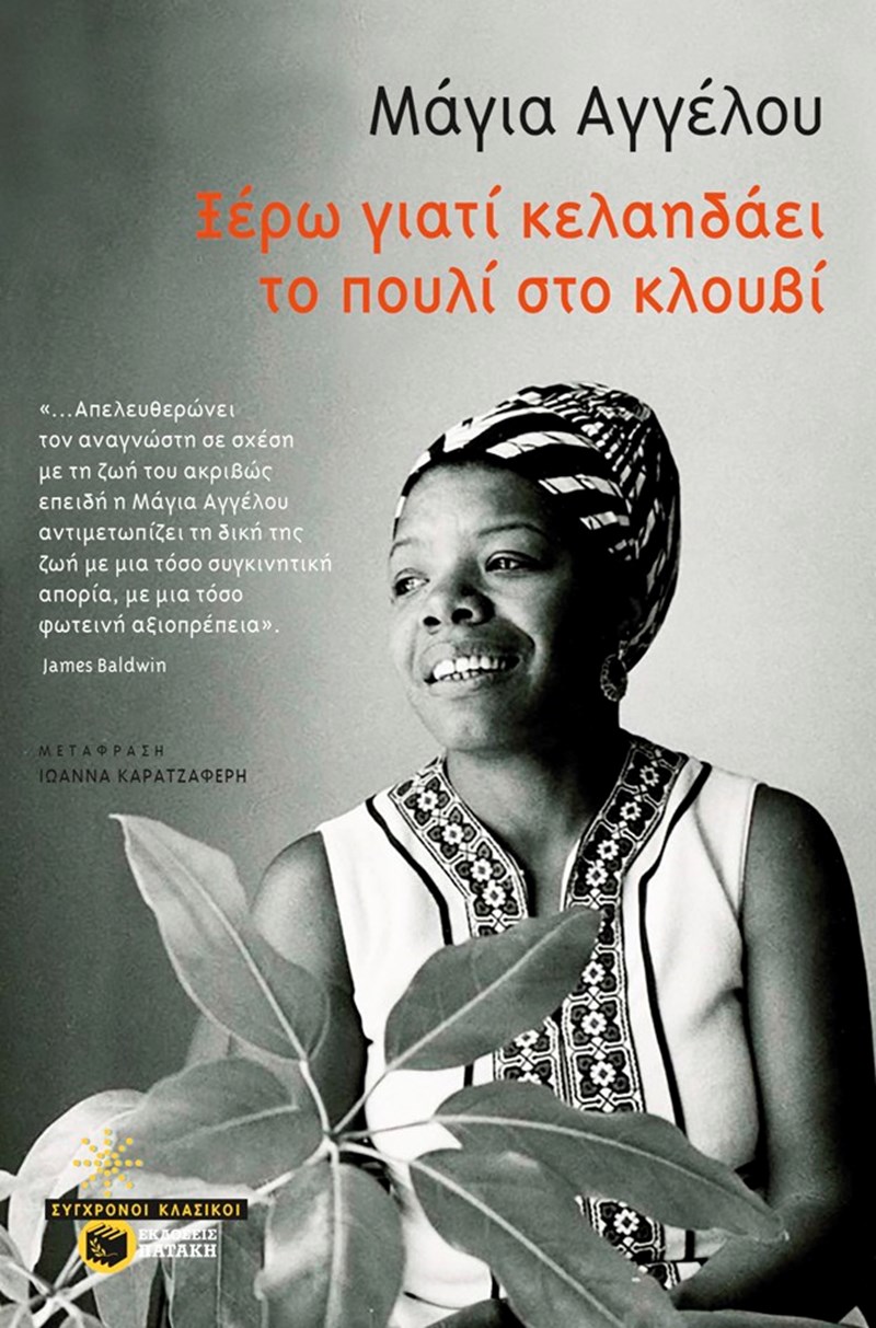 Η Αμερική φλέγεται: 10 μυθιστορήματα για τον ρατσισμό, πιο επίκαιρα από ποτέ - εικόνα 11