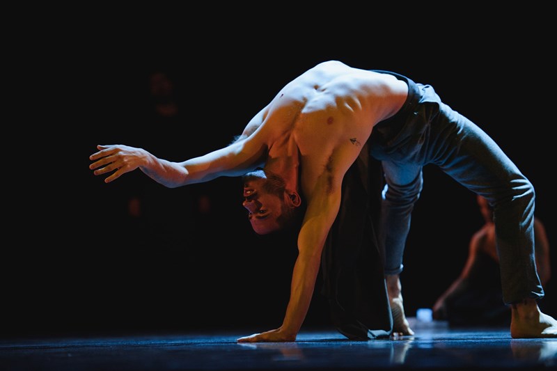 Ανακοινώθηκε το πρόγραμμα του 26ου Διεθνούς Φεστιβάλ Καλαμάτας - εικόνα 1