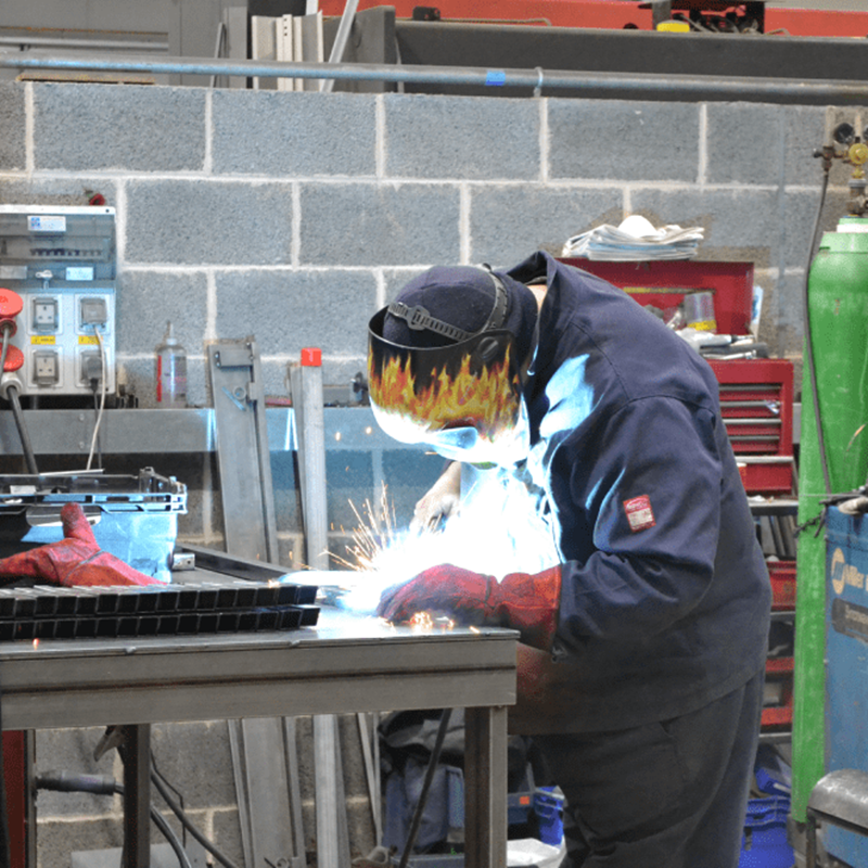 Μια μίνι ζούγκλα στον τοίχο μου! - εικόνα 10