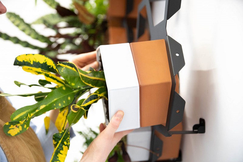 Μια μίνι ζούγκλα στον τοίχο μου! - εικόνα 6