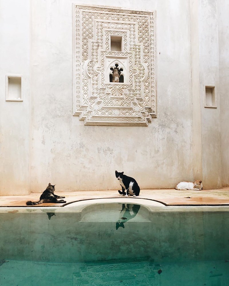 Ένας εξωτικός παράδεισος χτισμένος πάνω στο κύμα (38 φωτογραφίες) - εικόνα 9