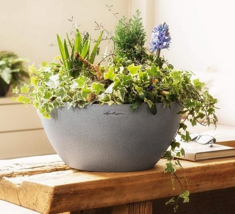 Πώς θα φτιάξω μια πράσινη όαση στη μικρή βεράντα μου; (25 ιδέες από €12,99) - εικόνα 26