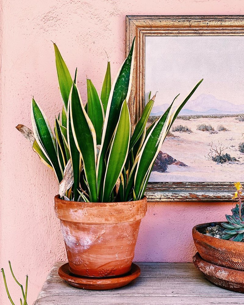 Δες πώς μπορείς να μεταμορφώσεις ένα παλιό εξοχικό με τα σωστά χρώματα! - εικόνα 12