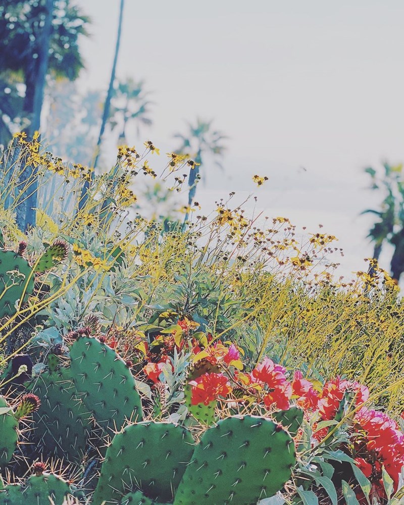 Δες πώς μπορείς να μεταμορφώσεις ένα παλιό εξοχικό με τα σωστά χρώματα! - εικόνα 13