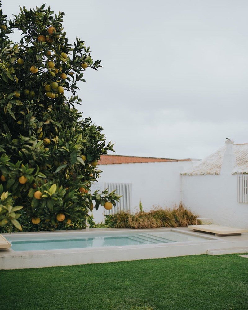 Slow Living: 38 φωτογραφίες από ένα κατάλευκο οίκημα στη Λισαβόνα - εικόνα 15