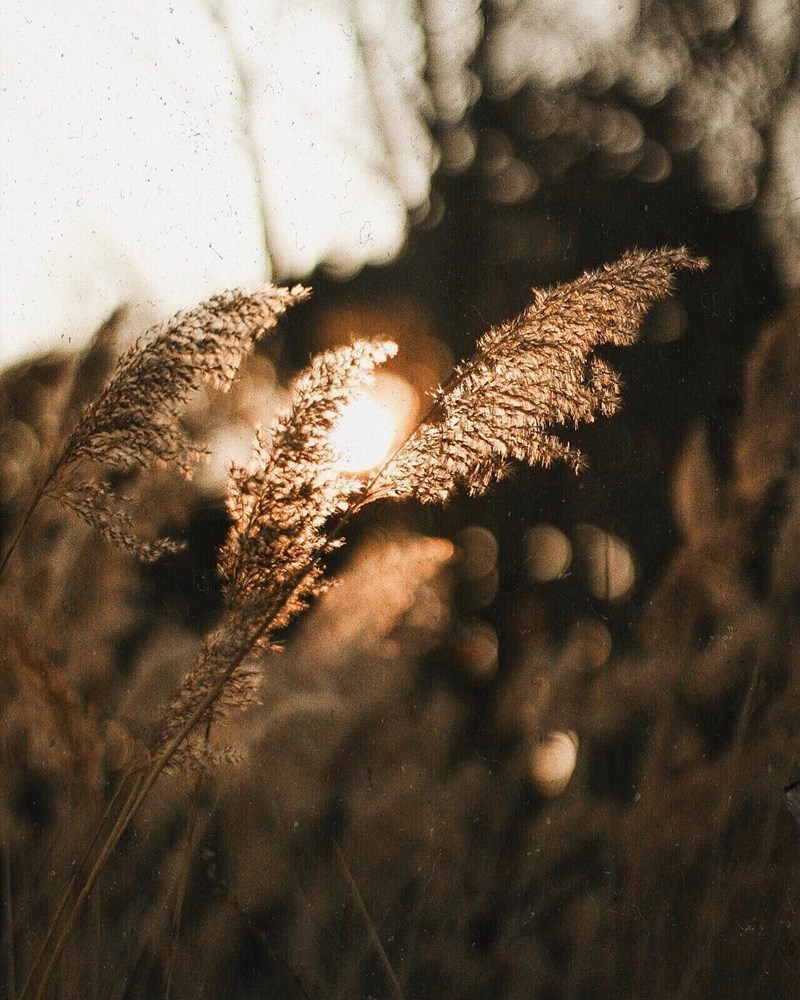 29 στιγμές απόλαυσης από την καθημερινότητα μιας book lover - εικόνα 16