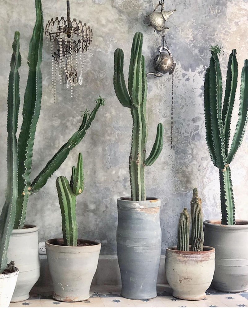 Έρωτας στο Μαρακές: Ένα ριάντ για χίλιες και μία απολαύσεις! - εικόνα 18