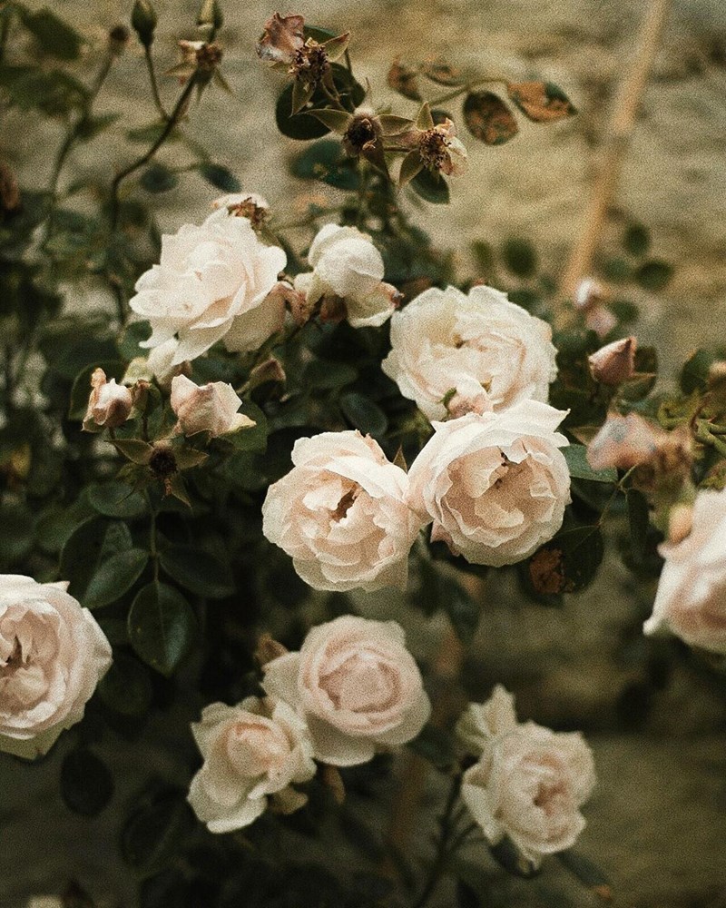 29 στιγμές απόλαυσης από την καθημερινότητα μιας book lover - εικόνα 2